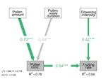 Reconciling Pollen Limitation Theories, Insights From Temperate Oak Masting